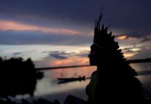 Brazilian tribes, forest tappers unite against Bolsonaro Indigenous leader of the Celia Xakriaba tribe walks next to the Xingu River during a four-day pow wow in Piaracu village, in Xingu Indigenous Park, Mato Grosso state, Brazil on Jan. 15. REUTERS/RICARDO MORAES