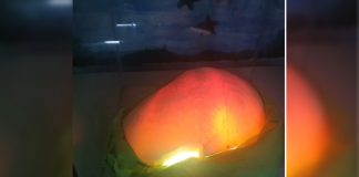 A giant pearl weighing about 13.75 kilos is displayed at a restaurant in Kalibo, Aklan in this photo obtained from a video. JUN AGUIRRE/PN