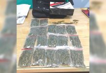 ‘Marijuana’ found near mall Security guard Jeyron Magbanua turns over sachets of suspected marijuana to Police station 1 of Bacolod City on Jan. 21. POLICE STATION 1/ BPO