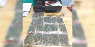 Security guard Jeyron Magbanua turns over sachets of suspected marijuana to Police station 1 of Bacolod City on Jan. 21. POLICE STATION 1/ BPO