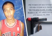 Gun, bullets put man behind bars