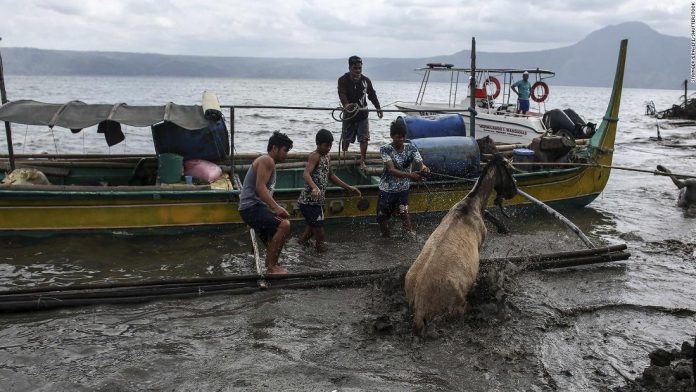 Taal Volcano Animals Volunteers save animals that have been left behind as the Taal volcano continues to release ash and smoke in Batangas province, Philippines, 14 January 2020 (issued 15 January 2020). The Philippine Institute of Volcanology and Seismology (PHIVOLCS) has kept the alert level at four, following Taal Volcano's eruption on 12 January 2020. Taal Volcano eruption aftermath, Batangas Province, Philippines - 14 Jan 2020. EPA