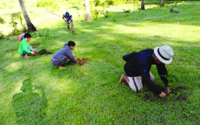 Village officials in Barangay Cubay Ubos in Miagao, Iloilo Village officials in Barangay Cubay Ubos in Miagao, Iloilo spearhead the planting of fruit trees in their communal food forest. The establishment of a food forest in each of the 119 villages in Miagao town aims to combat climate change and make the town become food sufficient, says Isidro Mosura, Jr., of the Miagao Municipal Environment and Natural Resources Office, on Jan. 7, 2020. BARANGAY CUBAY UBOS OFFICIALS