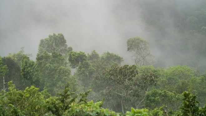6 indigenous people killed in Nicaragua Armed men reportedly attacked an indigenous community at a jungle in Nicaragua, killing at least six people and kidnapping 10 others, rights groups said. GETTY IMAGES