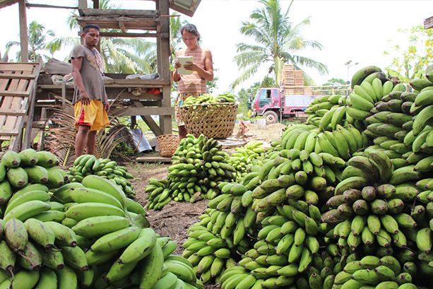 Banana Philippines Total exports in December last year reached $5.74 billion, 21.4 percent higher compared to $4.73 billion in December 2018, data showed. Total imports in December 2019 contracted by 7.6 percent to $8.22 billion from $8.90 billion.