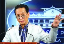 Presidential Spokesperson Salvador Panelo.