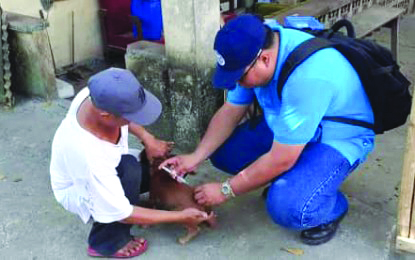 Rabies Vaccines Provincial Veterinary Public Health Division head Dr. Marco Rafael Ardamil urges the local government units of this province to provide more funding in order to purchase more anti-rabies vaccines. There are 41, 033 dogs that need vaccination to make sure that remains rabies-free. PROVET-ANTIQUE