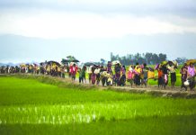Rohingya boat capsizes; at least 16 dead In this Sept. 1, 2017, file photo, members of Myanmar's Rohingya ethnic minority walk past rice fields after crossing the border into Bangladesh near Cox's Bazar's Teknaf area. AP