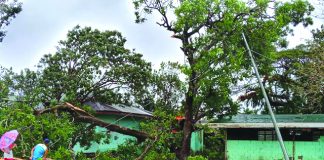 Primary and secondary public schools in this province are ordered to claim a P20,000 funding by the Department of Education for the minor repairs and cleaning of the school grounds affected by Typhoon Ursula. DEPED AKLAN