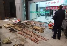 Virus renews safety concerns on slaughtering wild animals Police look at items seized from store suspected of trafficking wildlife in Guangde city in central China's Anhui Province in this Jan. 9, 2020 photo. As China enforces a temporary ban on the wildlife trade to contain the outbreak of a new virus, many are calling for a more permanent solution before disaster strikes again. ANTI-POACHING SPECIAL SQUAD VIA AP