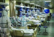 China virus deaths surge past 800, overtaking SARS toll Almost 37,200 people in China have now been infected by the new coronavirus, believed to have emerged late last year in a market that sold wild animals in Hubei's capital Wuhan, China. MENAFN