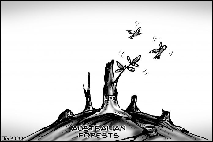 Editorial Cartoon for February 9, 2020