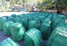 300 ‘kaing’ made fest less trashy