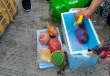 NegOcc bans live pigs, pork products from Mindanao Dispatched inspectors of the Provincial Veterinary Office by the Provincial African swine fever Task Force confiscate pork-based products from passengers at Bredco Port in Bacolod City on late January. PNA