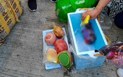Dispatched inspectors of the Provincial Veterinary Office by the Provincial African swine fever Task Force confiscate pork-based products from passengers at Bredco Port in Bacolod City on late January. PNA