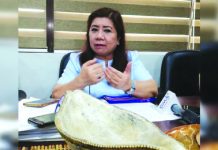 Panay businessmen: Expressway better than railway Businessmen in Panay are pushing for an expressway that would connect the provinces of Iloilo, Capiz and Aklan, says Ro-Ann Bacal, Director of the National Economic and Development Authority-Western Visayas on Feb. 6. PNA