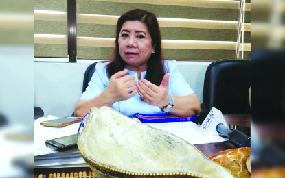 Businessmen in Panay are pushing for an expressway that would connect the provinces of Iloilo, Capiz and Aklan, says Ro-Ann Bacal, Director of the National Economic and Development Authority-Western Visayas on Feb. 6. PNA