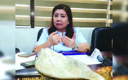 region-panay Businessmen in Panay are pushing for an expressway that would connect the provinces of Iloilo, Capiz and Aklan, says Ro-Ann Bacal, Director of the National Economic and Development Authority-Western Visayas on Feb. 6. PNA