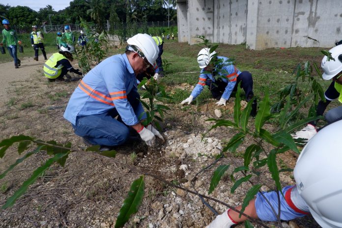 AboitizPower subsidiary continues efforts to expand carbon sink ENVIRONMENTAL STEWARDSHIP. Therma Visayas, Inc. (TVI) Deputy Plant Manager Noel Cabahug (middle-left) leads team members in planting 700 Indian tree seedlings inside the plant complex last February 29, 2020, continuing the efforts for TVI’s Carbon Sink Management Program (CSMP), which aims to plant one million trees to sequester the plant’s carbon emissions.