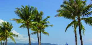 Tourist arrivals in Boracay Island in Malay Aklan hit 2,034,599 in 2019, according to the Malay municipal tourism office, increasing by 116 percent from 2018. AKEAN FORUM