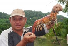 A man shows off a cooked giant freshwater prawn caught in Dumarao, Capiz. Photo by RD Dianala.