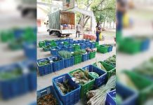 The Department of Agriculture in Western Visayas is set to roll out its ‘Kadiwa on Wheels’ in Iloilo City on March 31. Residents will be able to buy fresh agricultural produce right at their doorstep amid the enhanced community quarantine due to the threat of coronavirus disease 2019. DA-RAFID6