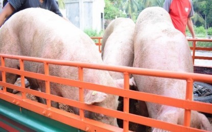 Provincial Veterinary Office The Provincial Veterinary Office has noted an increase in the average live weight price of hogs this March. This is mainly due to the growing demand for hogs, not only from Negros Occidental, but also from neighboring provinces. PNA BACOLOD