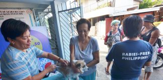 LOOK: Personnel of the City Veterinary Office Humane Society administers the anti-rabies vaccine on dogs as part of their mass vaccination drive in Barangay San Nicolas, La Paz, Iloilo City on Friday, Feb. 28. IAN PAUL CORDERO/PN