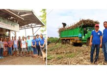 Sugarcane coop reaps sweet success with DAR and LANDBANK’s support