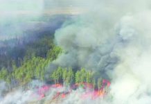 Fire raging near Ukraine’s Chernobyl poses radiation risk An aerial view shows a forest fire in the 30 km (19 miles) exclusion zone around the Chernobyl nuclear power plant, Ukraine, April 12, 2020, in this still picture taken from video. REUTERS