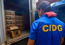 ESSENTIAL DRINK? An operative of the Philippine National Police’s Criminal Investigation and Detective Group discovers boxes of liquor inside this truck in Santa Barbara, Iloilo on April 24, 2020. Despite the liquor ban in Iloilo city and province, this truck from the city managed to pass through quarantine control points unhampered; its driver told the police he was transporting “essential goods.” IAN PAUL CORDERO/PN