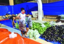 Caluya mayor assures folks enough food supply amid lockdown Food packs given to residents of Barangay Semirara, Caluya, Antique include variety of vegetables. Caluya is currently on a lockdown to curb the spread of coronavirus disease 2019. BLGU SEMIRARA