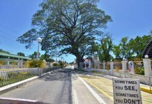 DOH blinks; Guimbal residents not PUMs after all WHERE HAVE ALL THE PEOPLE GONE? This main thoroughfare of Guimbal, Iloilo is empty. People are opting to stay at home to avoid catching and spreading the coronavirus disease 2019. To date, three residents of Guimbal have tested positive for the illness. IAN PAUL CORDERO/PN