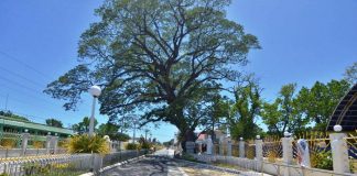 WHERE HAVE ALL THE PEOPLE GONE? This main thoroughfare of Guimbal, Iloilo is empty. People are opting to stay at home to avoid catching and spreading the coronavirus disease 2019. To date, three residents of Guimbal have tested positive for the illness. IAN PAUL CORDERO/PN