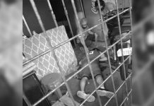 Ex-Negros Slashers star gunned down