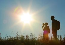 Sunlight destroys coronavirus quickly — US agency
