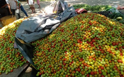 Tomatoes