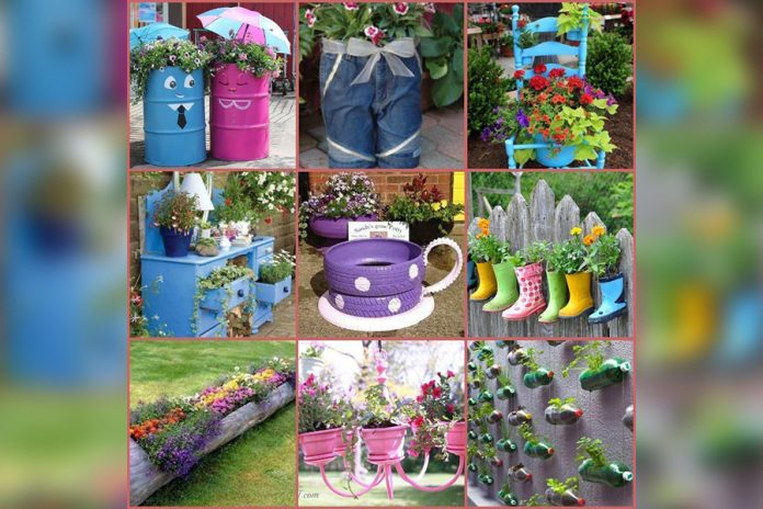 Vertical, Horizontal Gardening