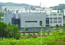 Director of Wuhan lab denies virus link The existence of the lab has fuelled conspiracy theories that the germ spread from the Wuhan Institute of Virology in China, specifically its P4 laboratory. AFP