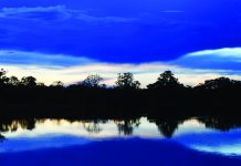 Amazon could be next virus hot zone – scientist