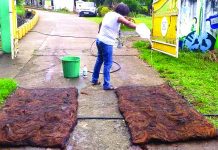 Antique town transforms coco coir into road ramp sanitizers