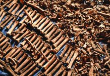 ‘Financier’ of Rwandan genocide nabbed in Paris
