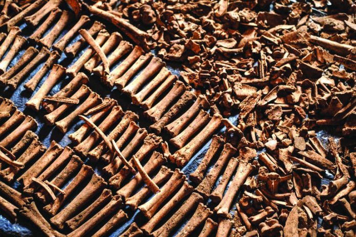 Around 800,000 people – Tutsis but also moderate Hutus – were slaughtered over 100 days by ethnic Hutu extremists during the 1994 genocide.