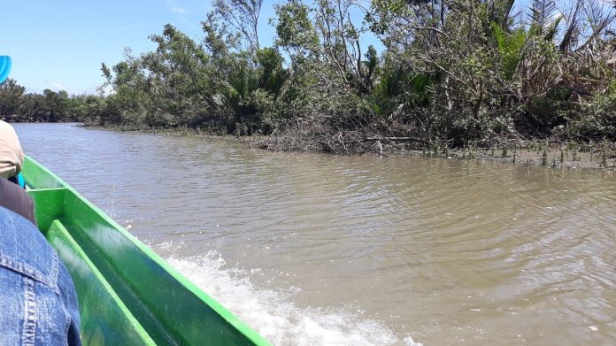 Panay River