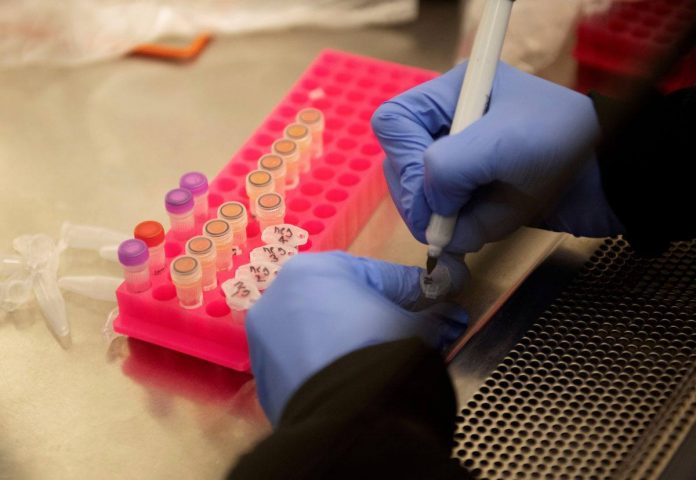Researchers at the Microbiology Research Facility work with coronavirus samples as a trial