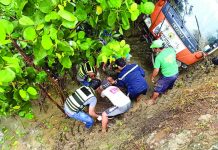 Truck falls off Cadiz bridge; 2 killed, 6 hurt