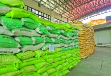 Korean agency procures rice worth P5M from Panay farmers