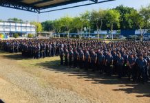 PRO-6 recruitment to resume