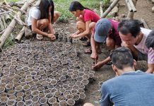 Leon SK official urges youth: Engage in backyard gardening