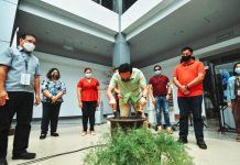 Iloilo to grow 1.5M native trees ‘TANUM ILOILO’. Gov. Arthur Defensor Jr. plants an Iloilo tree to mark Arbor Day on June 25, 2020 at the Western Visayas Regional Museum where he also launched the Iloilo provincial government’s reforestation project “Tanum Iloilo.” This project aims to grow 1.5 million native and fruit-bearing trees this year. IAN PAUL CORDERO/PN